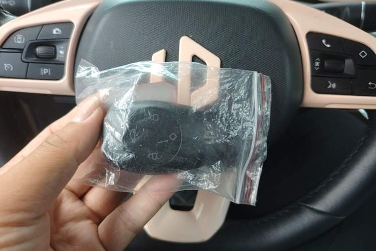 Used Leapmotor T03 2022 Star Diamond Edition Vehicle Key