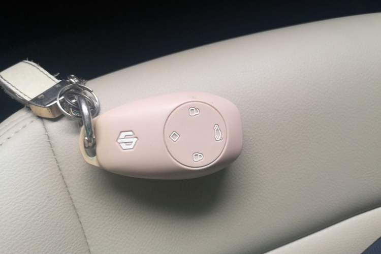 Used Leapmotor T03 2022 Special Edition Vehicle Key