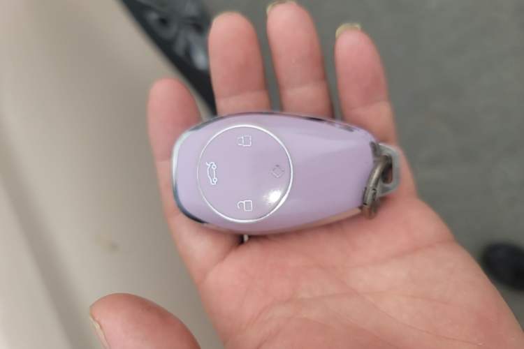 Used Leapmotor T03 2022 Special Edition Vehicle Key