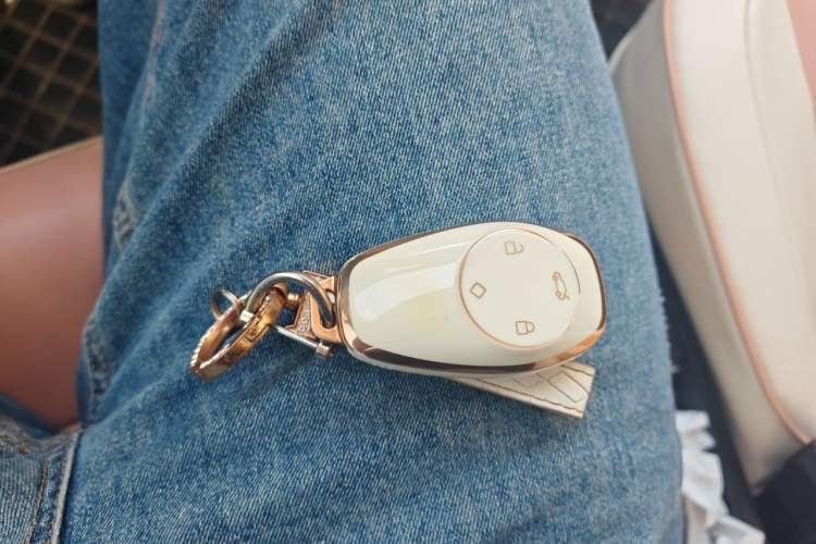 Used Leapmotor T03 2022 YAOJIN Edition Vehicle Key