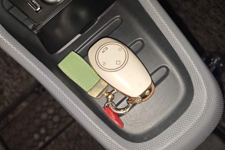 Used Leapmotor T03 2022 Special Edition Vehicle Key