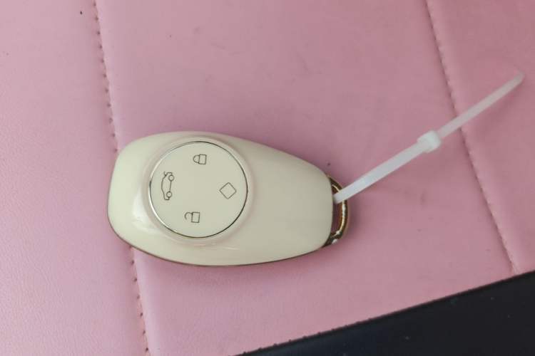 Used Leapmotor T03 2022 Special Edition Vehicle Key