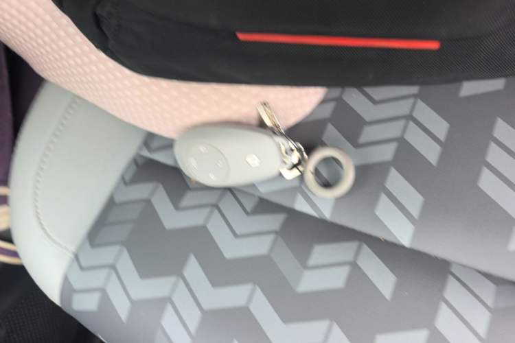 Used Leapmotor T03 2022 Crystal Edition Vehicle Key