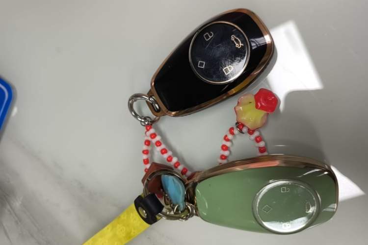 Used Leapmotor T03 2022 YAOJIN Edition Vehicle Key