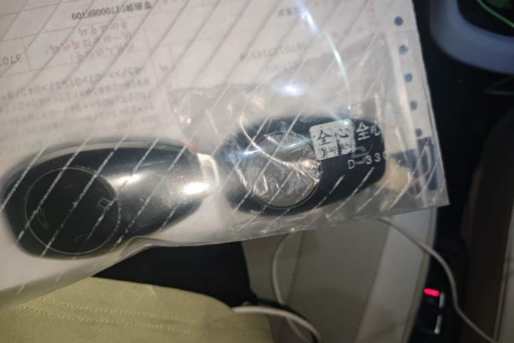 Used Leapmotor T03 2022 Star Diamond Edition Vehicle Key