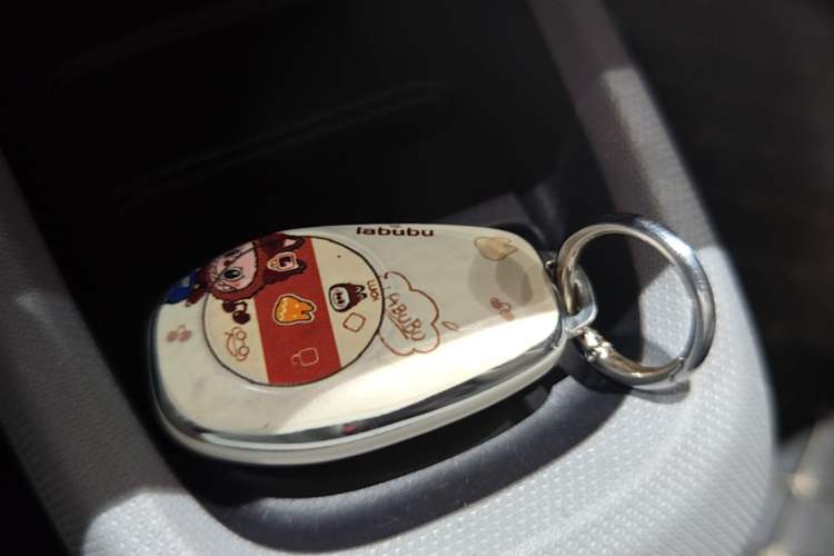 Used Leapmotor T03 2022 Amber Edition Vehicle Key