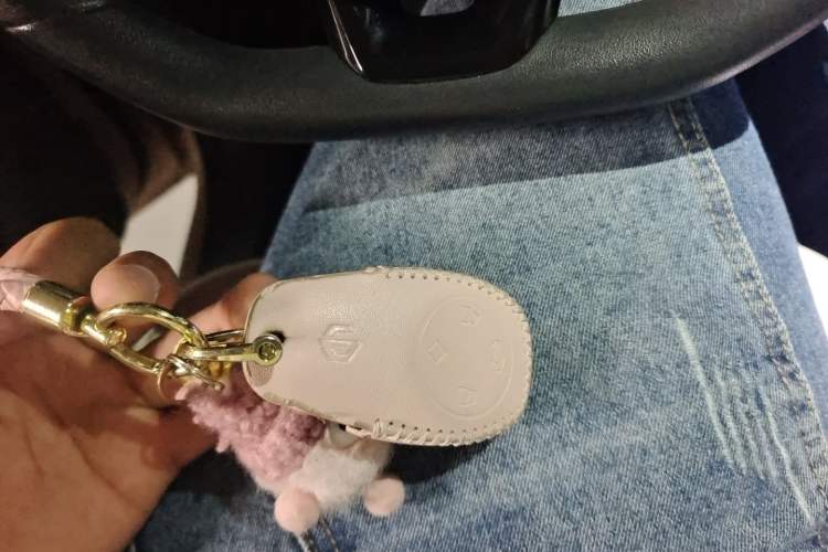 Used Leapmotor T03 2022 Crystal Edition Vehicle Key