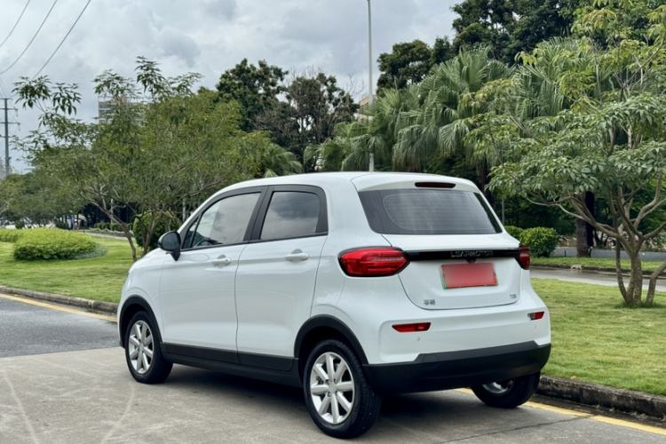 Used Leapmotor T03 2022 Agate Edition Exterior 8