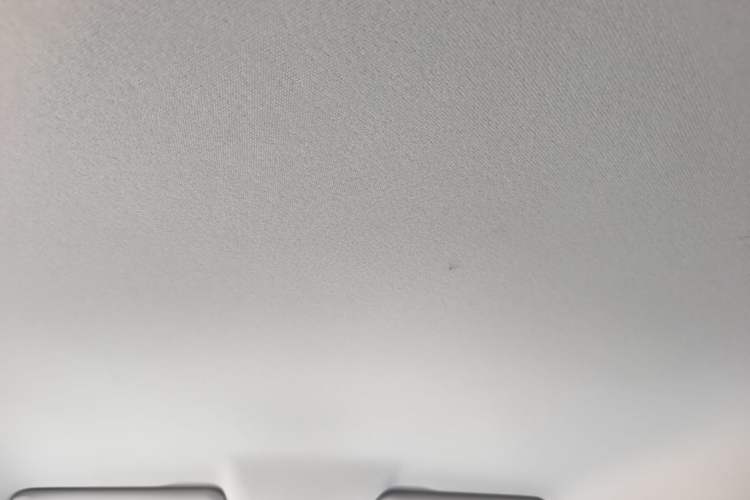 Used Leapmotor T03 2022 Hometown Jade Edition Headliner