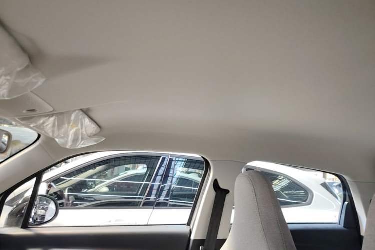 Used Leapmotor T03 2022 Crystal Edition Headliner