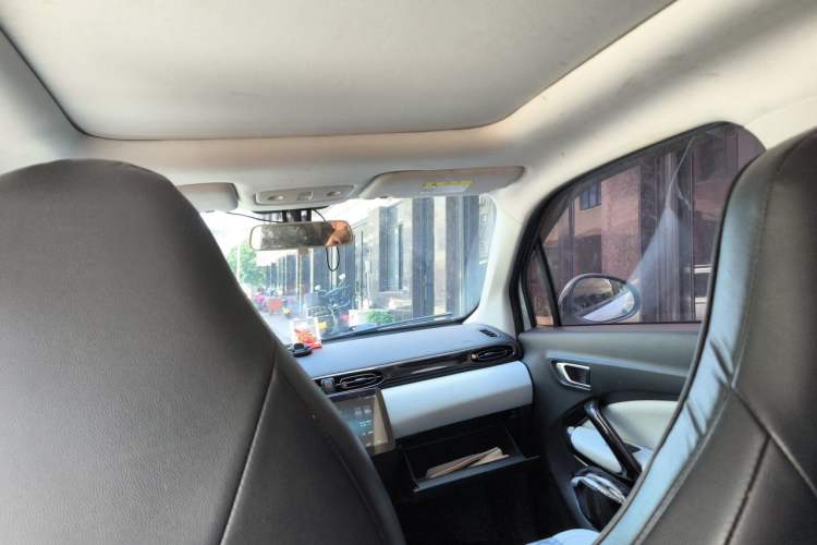 Used Leapmotor T03 2022 YAOJIN Edition Headliner
