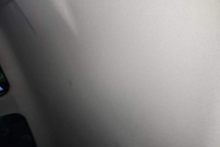 Used Leapmotor T03 2022 Agate Edition Headliner