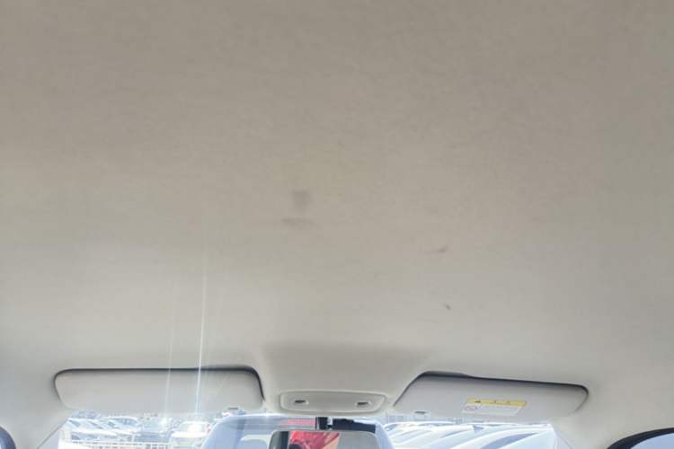 Used Leapmotor T03 2022 Hometown Jade Edition Headliner