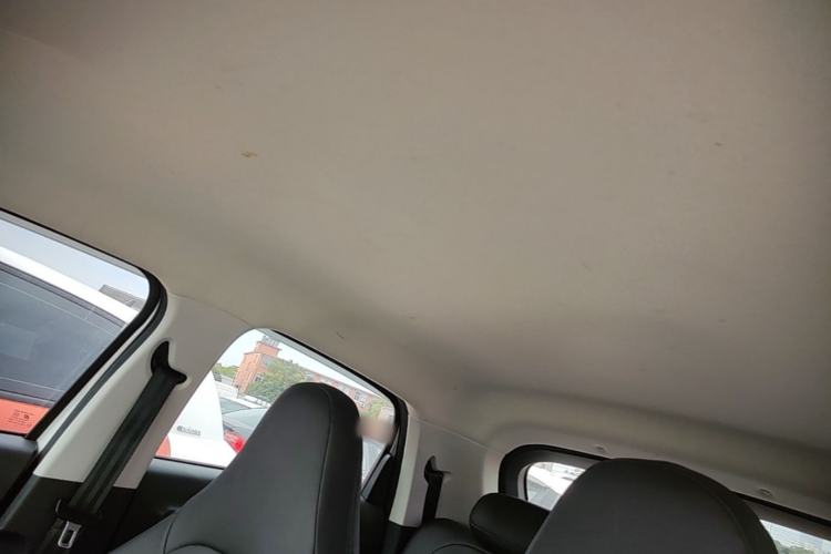 Used Leapmotor T03 2022 Crystal Edition Headliner