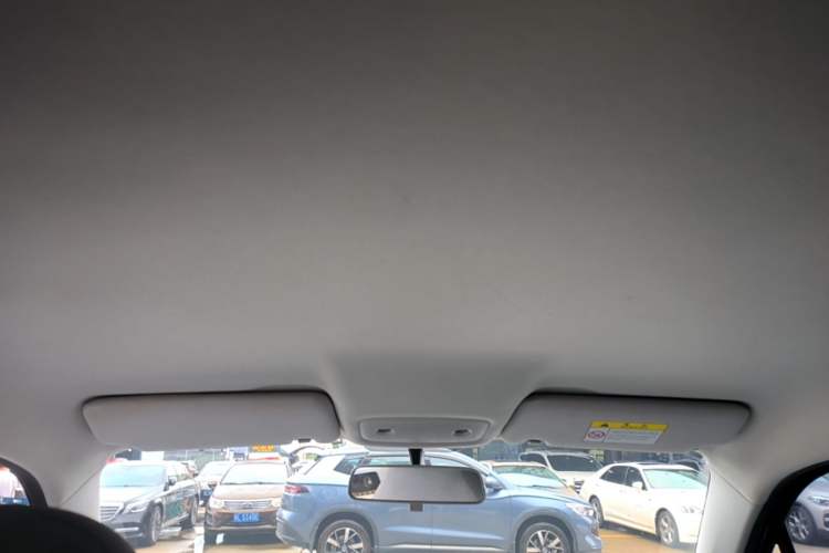 Used Leapmotor T03 2022 Hometown Jade Edition Headliner