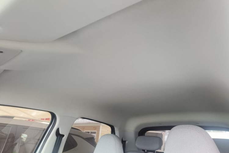 Used Leapmotor T03 2022 Agate Edition Headliner