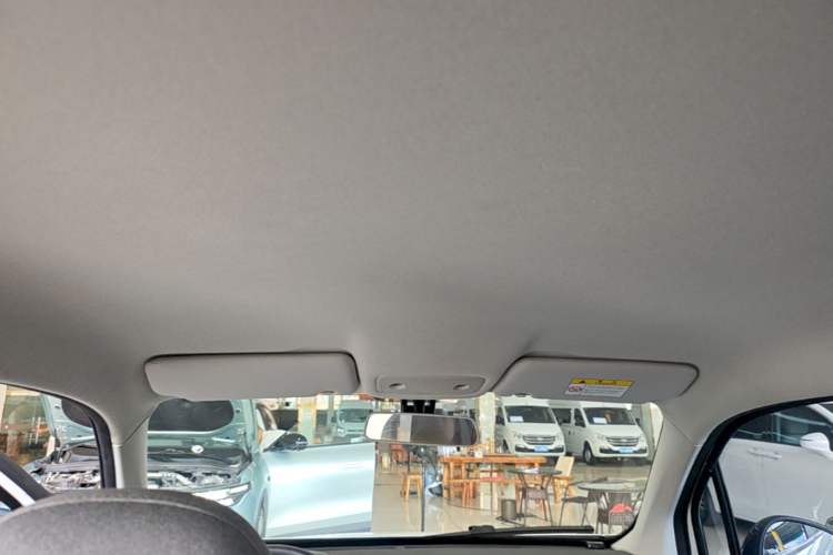Used Leapmotor T03 2022 Hometown Jade Edition Headliner