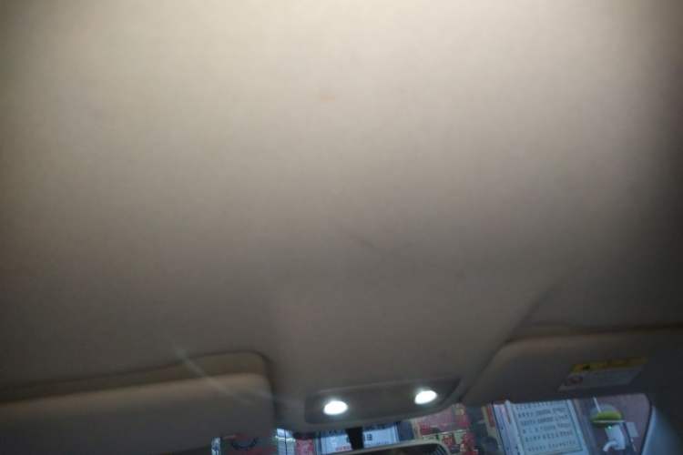Used Leapmotor T03 2022 Hometown Jade Edition Headliner
