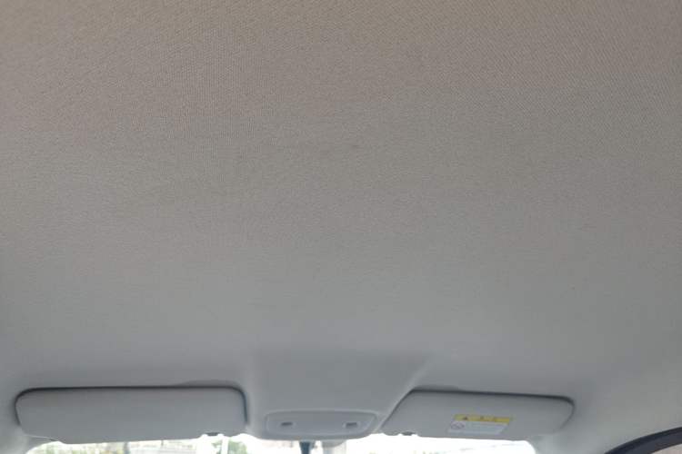 Used Leapmotor T03 2022 Crystal Edition Headliner