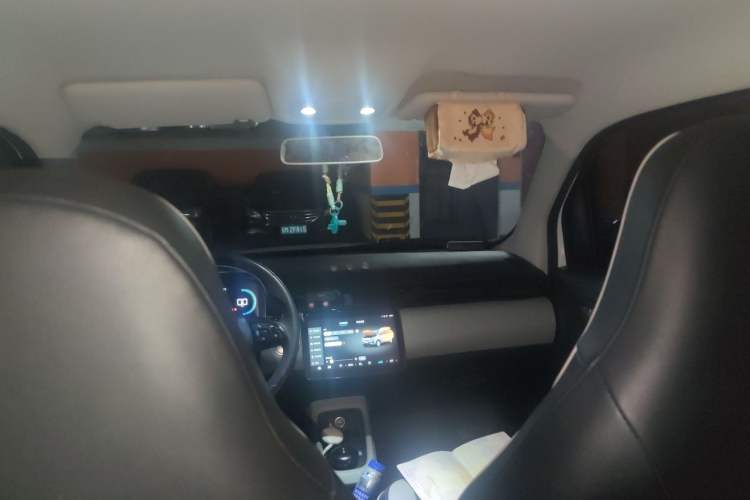 Used Leapmotor T03 2022 Hometown Jade Edition Headliner