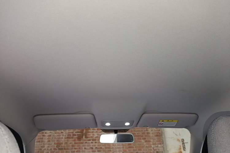 Used Leapmotor T03 2022 Hometown Jade Edition Headliner
