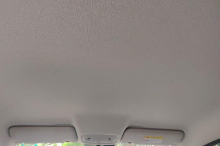 Used Leapmotor T03 2022 Agate Edition Headliner