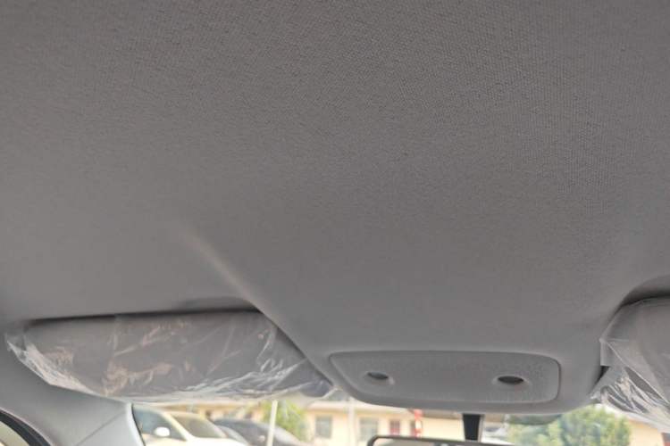 Used Leapmotor T03 2022 Crystal Edition Headliner