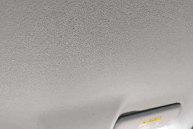 Used Leapmotor T03 2022 Crystal Edition Headliner
