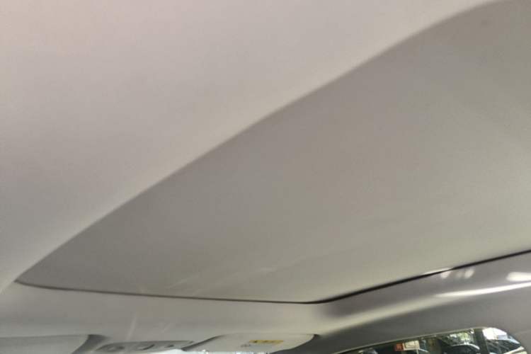Used Leapmotor T03 2022 Star Diamond Edition Headliner