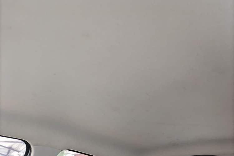 Used Leapmotor T03 2022 Crystal Edition Headliner