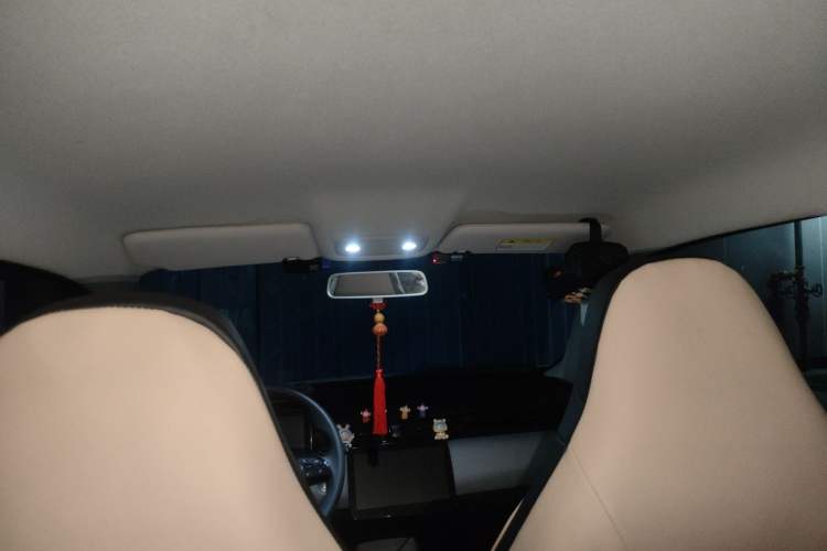 Used Leapmotor T03 2022 Crystal Edition Headliner