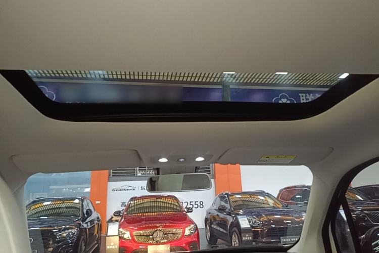 Used Leapmotor T03 2022 Star Diamond Edition Headliner