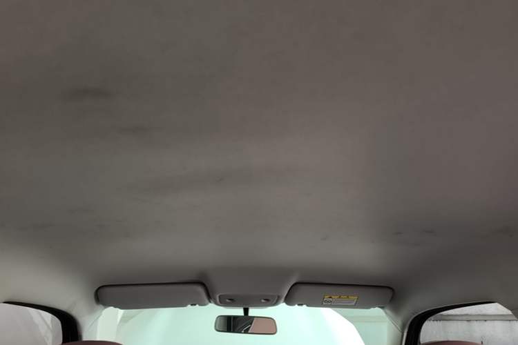 Used Leapmotor T03 2022 Hometown Jade Edition Headliner