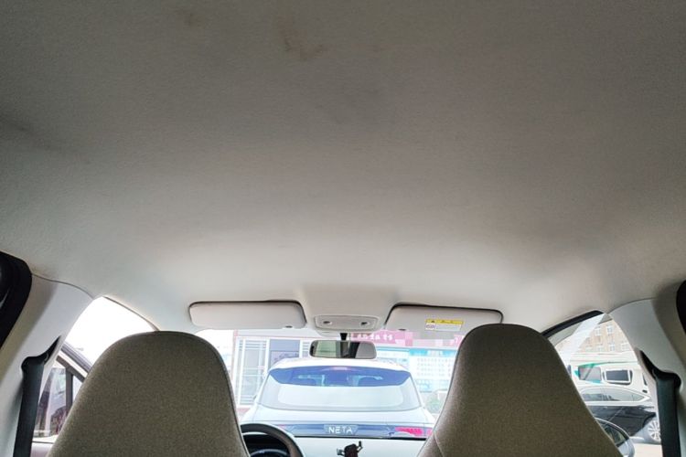 Used Leapmotor T03 2022 Crystal Edition Headliner