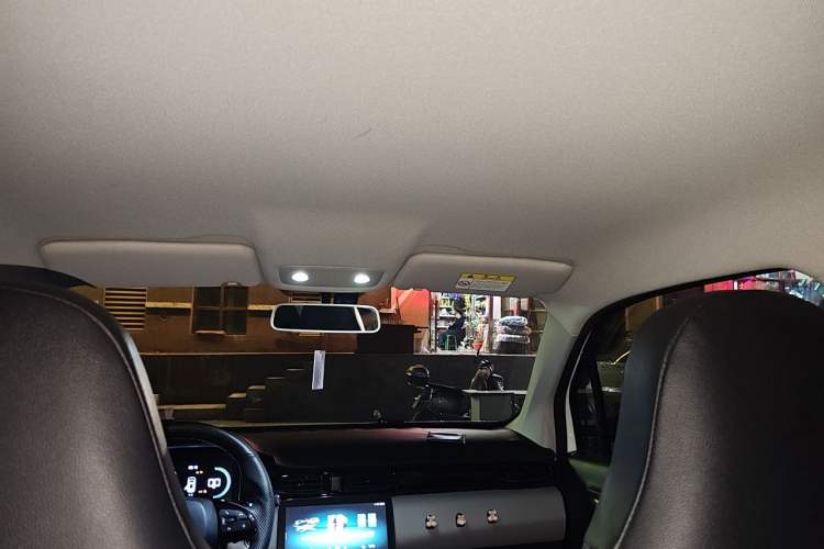 Used Leapmotor T03 2022 Crystal Edition Headliner