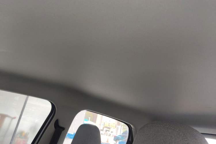 Used Leapmotor T03 2022 Crystal Edition Headliner