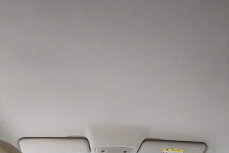 Used Leapmotor T03 2022 Agate Edition Headliner