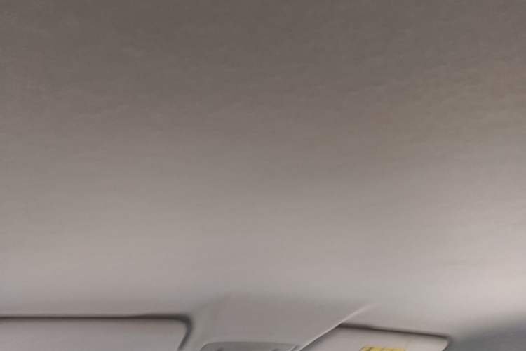 Used Leapmotor T03 2022 Hometown Jade Edition Headliner