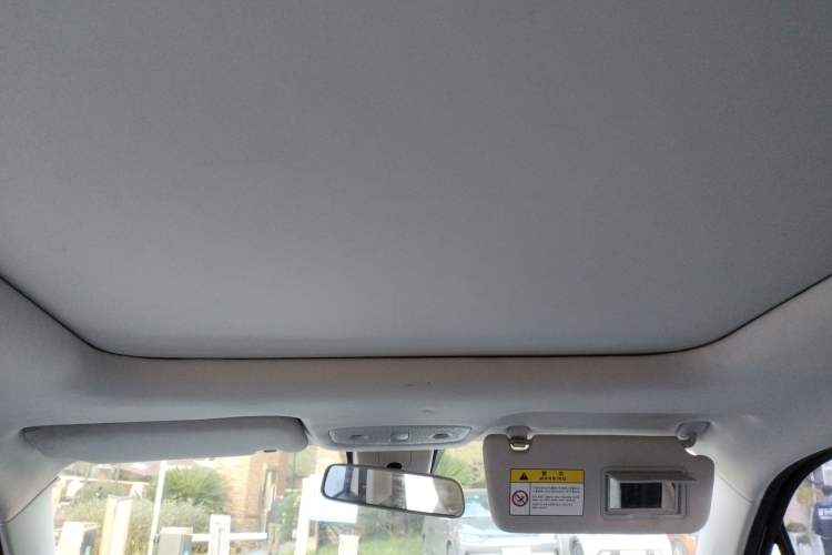 Used Leapmotor T03 2022 Star Diamond Edition Headliner