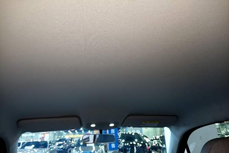 Used Leapmotor T03 2022 Crystal Edition Headliner