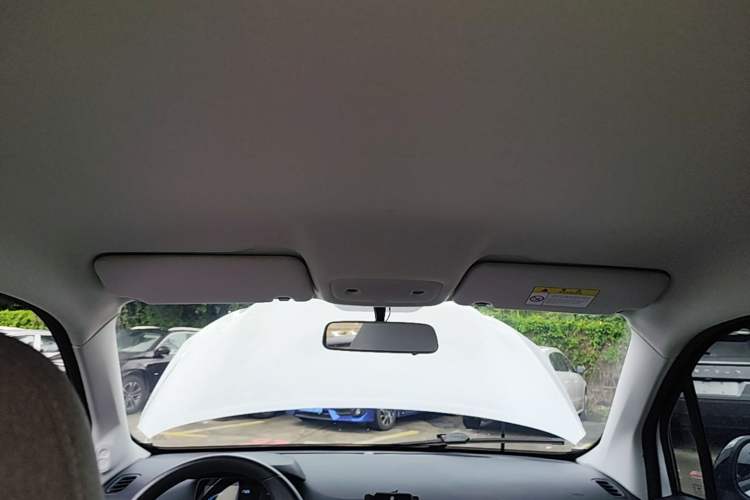 Used Leapmotor T03 2022 Hometown Jade Edition Headliner