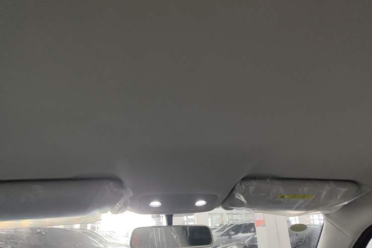 Used Leapmotor T03 2022 Agate Edition Headliner
