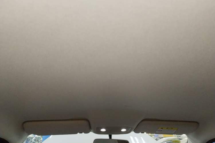 Used Leapmotor T03 2022 Agate Edition Headliner