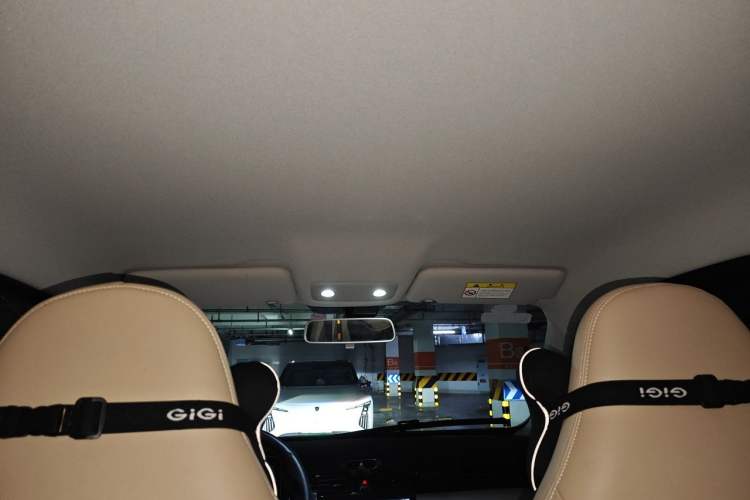 Used Leapmotor T03 2022 Crystal Edition Headliner
