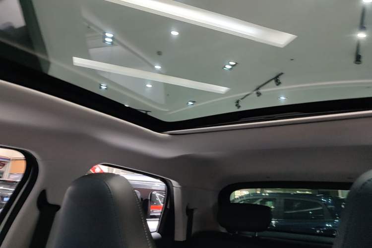 Used Leapmotor T03 2022 Crystal Edition Headliner