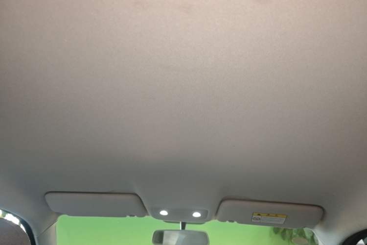 Used Leapmotor T03 2022 Agate Edition Headliner