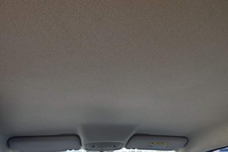 Used Leapmotor T03 2022 Special Edition Headliner