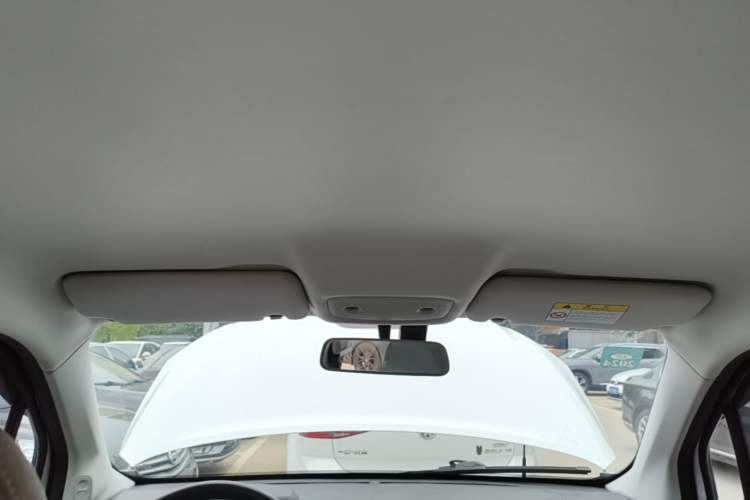 Used Leapmotor T03 2022 Crystal Edition Headliner