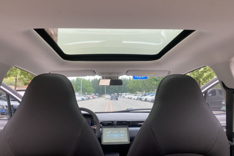 Used Leapmotor T03 2022 Star Diamond Edition Headliner