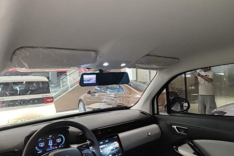 Used Leapmotor T03 2022 Glazed Edition Headliner